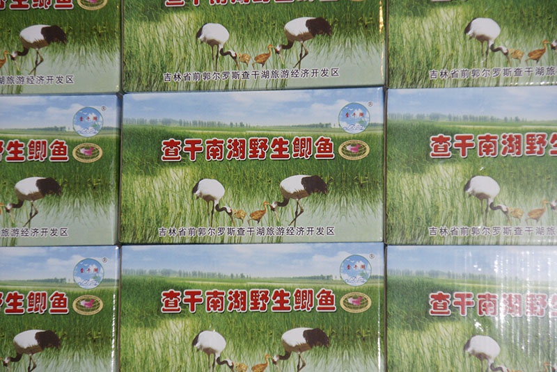 箱装大鲫鱼