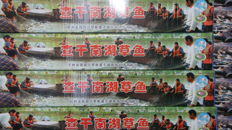 箱装草鱼2