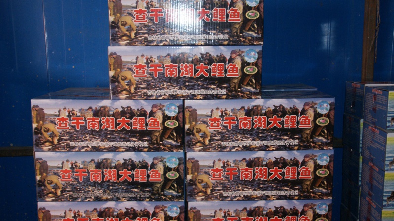 箱装大鲤鱼