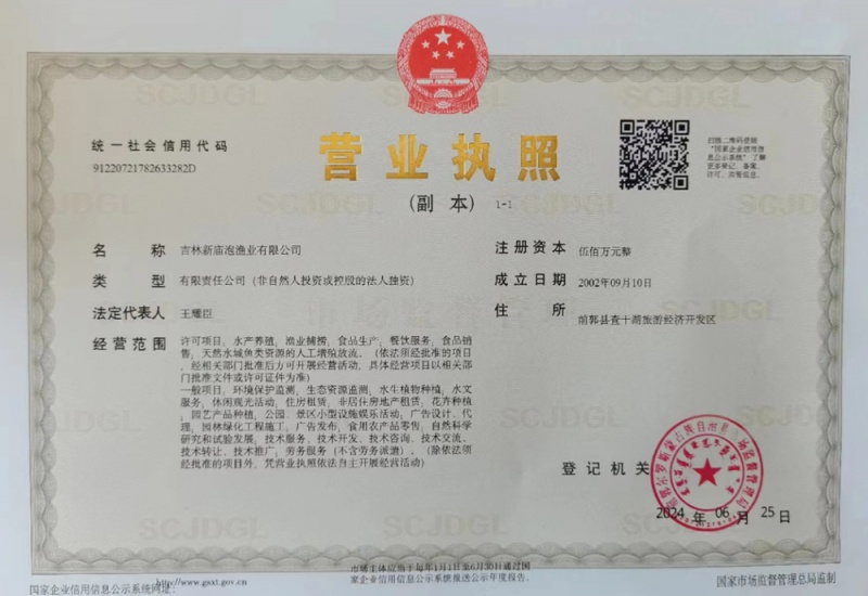 公司营业执照